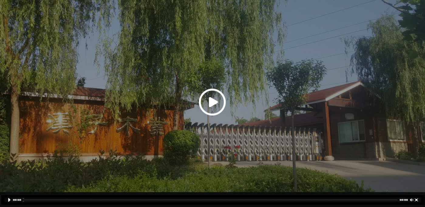 开云体育-开云(中国)